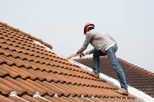 Best Roof Leak Repair  in Sandy Springs, SC